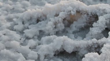 Güneşli bir günde bozkırda çatlaklar ile beyaz kuru tuz gölü nün yüzeyinde beyaz tuz kristalleri ile kaplı küçük bitki