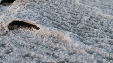 Kumda tuz kristalleriyle kaplı ayak izleri. Küresel ısınma. Kavramsal görüntü, küresel ısınmanın gezegenimizin doğal ekosistemlerinin yok olmasına yol açan olumsuz sonuçlarını sembolize ediyor.