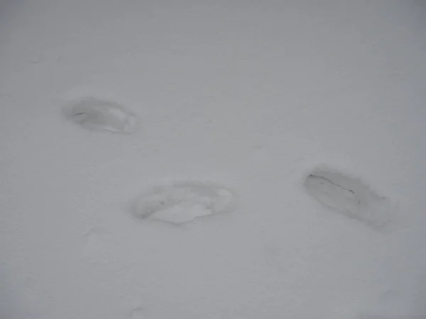 Lépések a hóban. Pizol, Svájci Alpokban — Stock Fotó