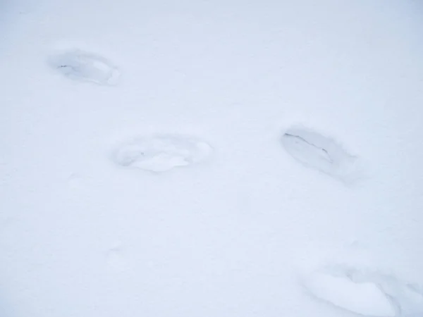 Menselijke voetafdrukken in diepe sneeuw op zonnige dag. — Stockfoto