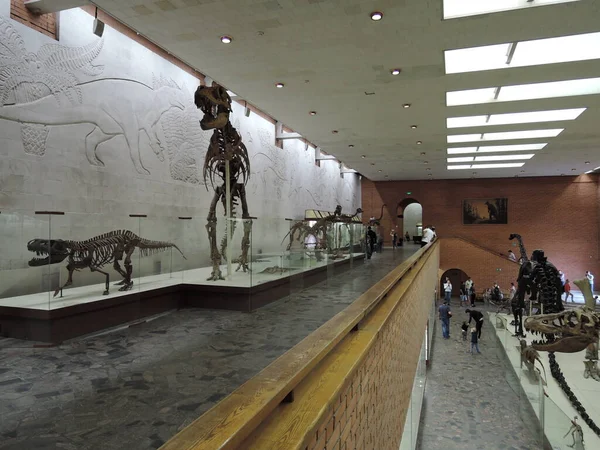19 мая 2018 года Россия, Москва. Музей палеонтологии. археологический музей, скелет динозавра — стоковое фото