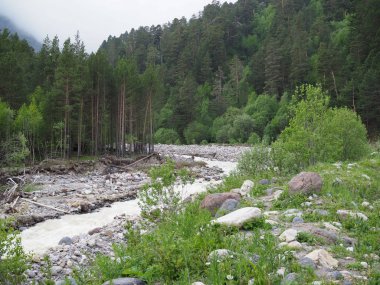 Yazın Alplerdeki dağ deresi. Yukarıdan aşağı ilerleyen şelale. Ormanda temiz su