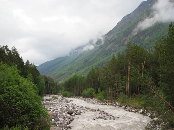 Riacho de montanha nos Alpes no verão. Cachoeira de cima para baixo. Água limpa na floresta . — Fotografia de Stock