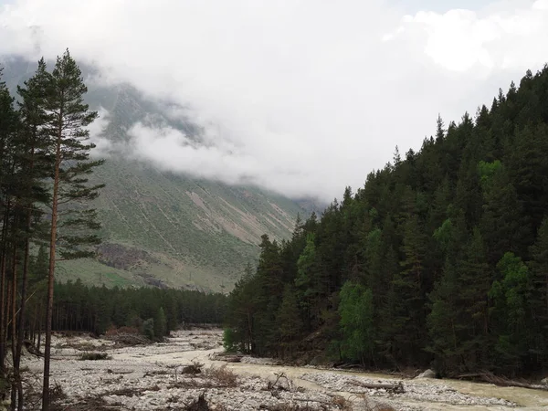Bela paisagem montanhosa com densa floresta conífera encostas rochosas e montanha rio raso — Fotografia de Stock