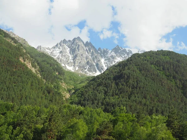 Paisagem Com Montanhas Florestais Região Elbrus Verão — Fotografia de Stock