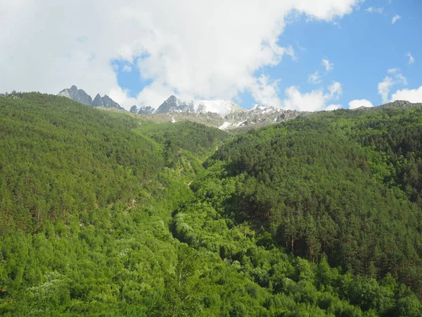 Paisagem Com Montanhas Florestais Região Elbrus Verão — Fotografia de Stock