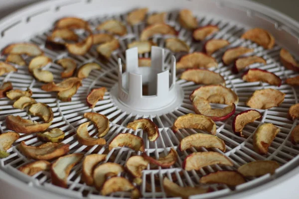 Close-up of slices of dried apples. Sliced fruits are laid out on the dryer deck. Source of vitamins and nutrients. Harvesting fruits