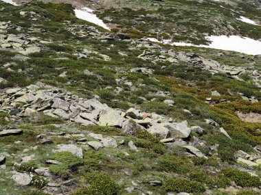 Taze yeşil çimlerle kaplı kayalık dağ yamacı ve erimemiş biraz kar, baharda Alp çayırı.