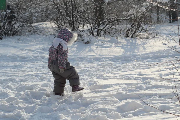 Baby Stap Tegen Sneeuwwoud Winter Buiten — Stockfoto