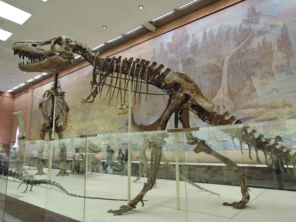Москве Музей Палеонтологии Скелет Динозавра Археологического Музея — стоковое фото