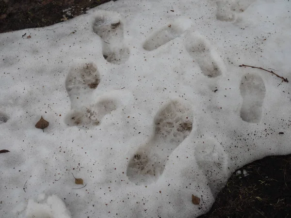 Huellas Derretimiento Cubierto Nieve Acera Húmeda Pavimento Cuestión Seguridad Cuidado —  Fotos de Stock