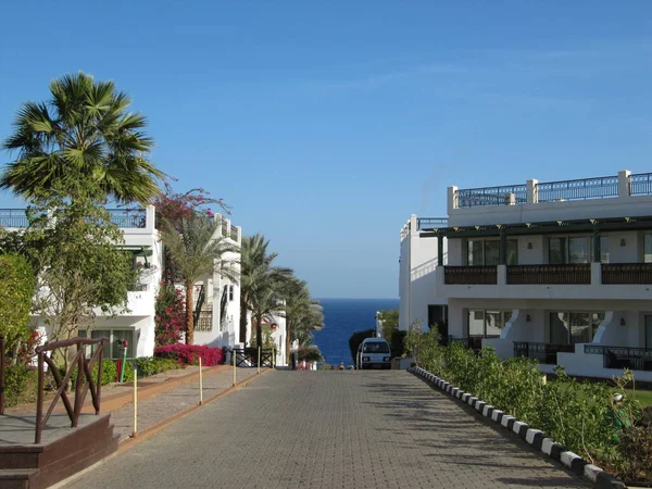 Road Sea Hotel Beautiful View Bright Day — Stock Photo, Image