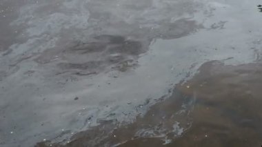 Yağ tabakası suyun yüzeyinde. Yağ film kirliliği. Suyun üzerindeki renkli yağ filmi.