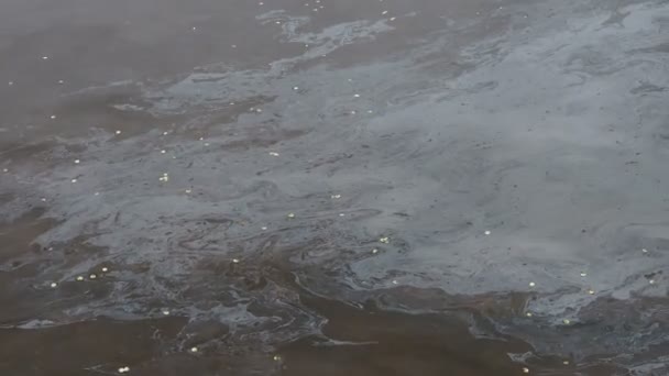 Folia Olejna Powierzchni Wody Zanieczyszczenie Filmem Olejowym Kolorowa Folia Olejna — Wideo stockowe