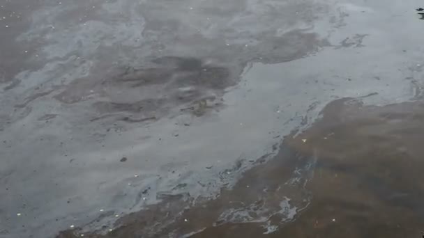Масляна Плівка Поверхні Води Забруднення Олійної Плівки Барвиста Олійна Плівка — стокове відео