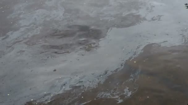 Ölfilm Auf Der Wasseroberfläche Ölfilm Verschmutzung Bunter Ölfilm Auf Dem — Stockvideo