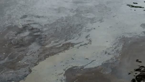 水の表面に油膜 油膜汚染 水の上のカラフルな油膜 — ストック動画