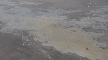 Yağ tabakası suyun yüzeyinde. Yağ film kirliliği. Suyun üzerindeki renkli yağ filmi.
