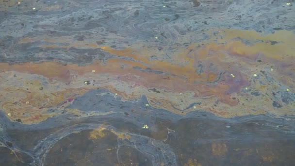 水面上的油膜 油膜污染 五颜六色的油膜 — 图库视频影像