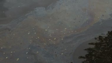 Yağ tabakası suyun yüzeyinde. Yağ film kirliliği. Suyun üzerindeki renkli yağ filmi.