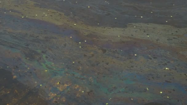 Масляная Пленка Поверхности Воды Загрязнение Нефтяной Пленки Красочная Масляная Пленка — стоковое видео