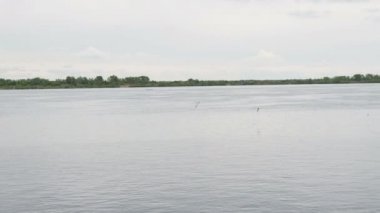 Bulutlu bir günde bir martı suyun üzerinde uçar.