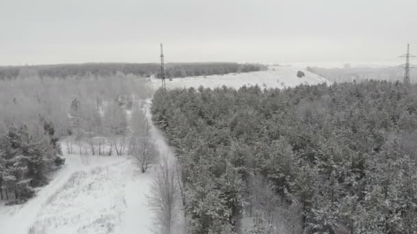 远处的冬季森林和大城市的美丽景色 — 图库视频影像