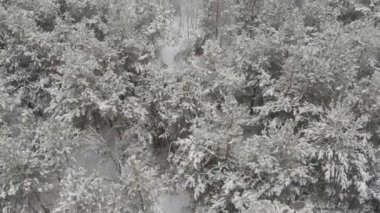 Kış Dağı Kar Ormanı Üst Görüş Alanı