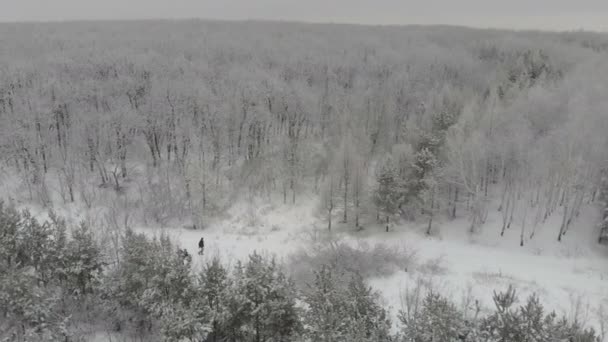 子供を持つ家族は雪に覆われた森を歩く 雪の空中林 — ストック動画