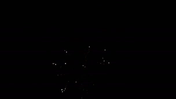 Veri Propri Fuochi Artificio Video Deep Black Background Sky — Video Stock