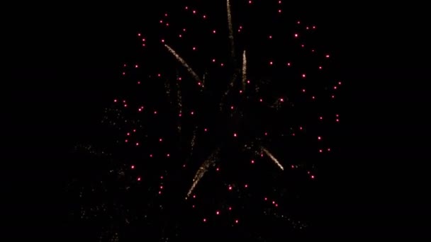 Veri Propri Fuochi Artificio Video Deep Black Background Sky — Video Stock