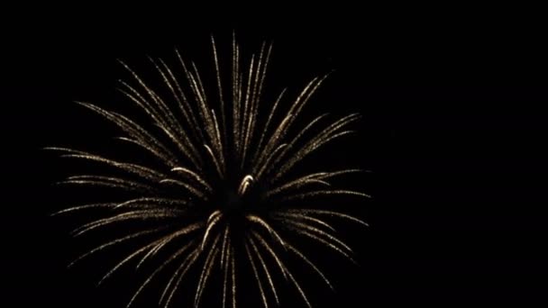 Veri Propri Fuochi Artificio Video Deep Black Background Sky — Video Stock