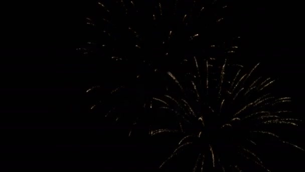 Valódi Tűzijáték Felvétel Videó Deep Black Háttér Sky — Stock videók