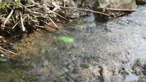 flottant sur un ruisseau étroit 