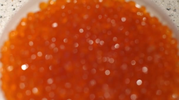 Emballage caviar rouge brillant dans la lumière. Pot en plastique avec caviar rouge de poisson de mer. Cadeaux de la mer. Transition de la mise au point à l'image nette. Un léger mouvement du cadre. Gros plan — Video