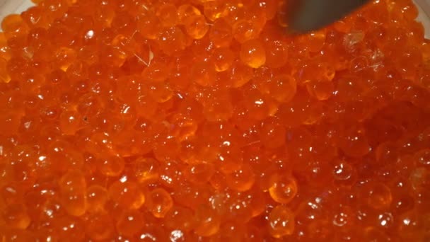 Scoop up a spoonful of delicious red caviar. Red caviar shining in the light. Red caviar of sea fish. Gifts of the sea. Macro — Stock Video