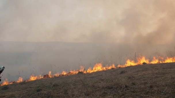 Strażak w mundurze jest na tle pożaru. Pali starą trawę z ostatnich lat. Wiele dymu powstaje z płonącej trawy, zamyka niebo. Katastrofa ekologiczna. Zwolniony ruch 4k — Wideo stockowe