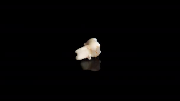 Έβγαλα το δόντι του μωρού σε μαύρο φόντο. Απομονωμένο δόντι σε μαύρο. Κλείσιμο — Αρχείο Βίντεο