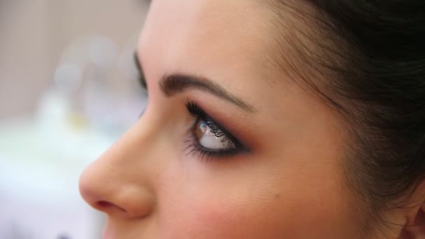 Sminkös målar ögonfransarna på en ung kvinna. Make-up artist gör makeup för den unga flickan, närbild. — Stockvideo