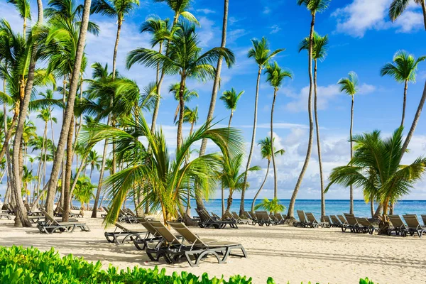 Caribbean sea view, bavaro beach — Stock Photo, Image