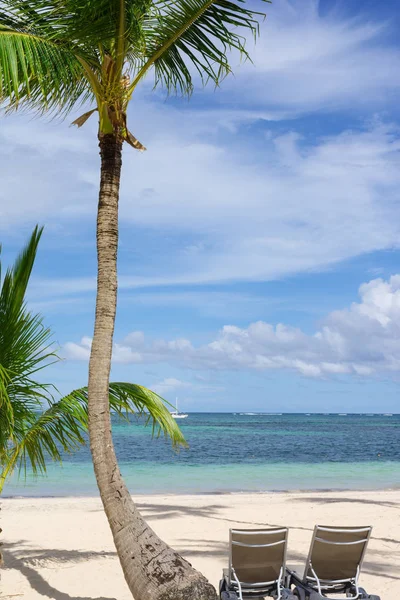 Karayip Deniz Manzaralı, bavaro beach — Stok fotoğraf