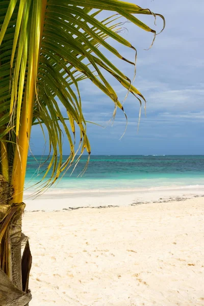 Vistas al mar Caribe, playa de bavaro — Foto de Stock