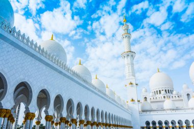 Abu Dabi, Birleşik Arap Emirlikleri, 23 Ocak 2020 Şeyh Zayed Büyük Camii