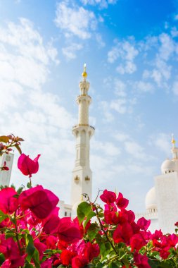 Abu Dabi, Birleşik Arap Emirlikleri, 23 Ocak 2020 Şeyh Zayed Büyük Camii