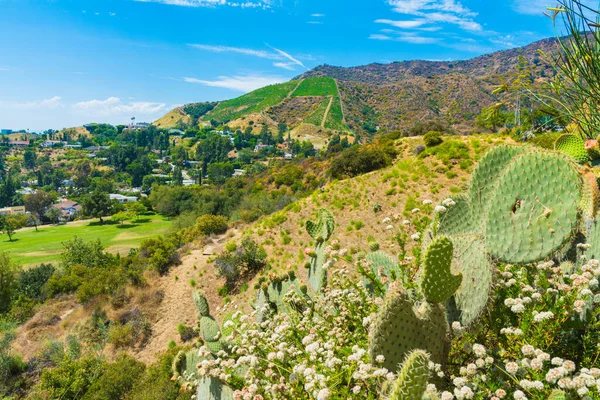 Hollywood Los Angeles California Usa Července 2019 Pohled Griffith Parku — Stock fotografie