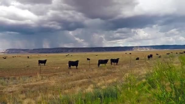Nubes de tormenta oscura truenan a través de las llanuras de Arizona — Vídeos de Stock