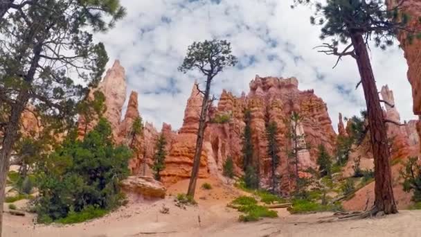 Bryce Canyon National Park, utah, usa — Stock video