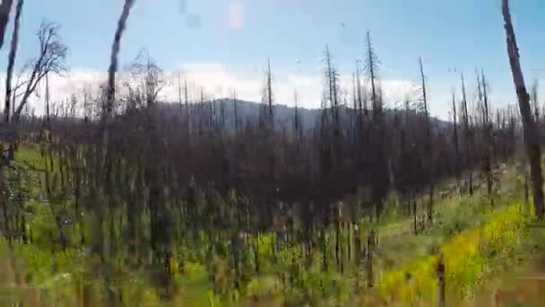 Parque nacional de Yosemite, Califórnia, EUA — Vídeo de Stock