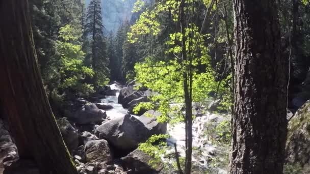 Yosemite nationalpark — Stockvideo