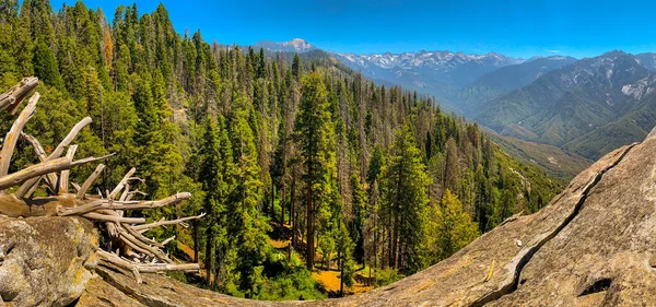 Sequoia Nationalpark Kalifornien Usa — Stockfoto